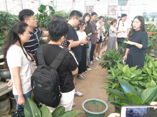 第二十届中原花木博会鄢陵,第九届中国花卉博览会倒计时