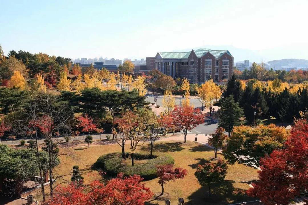 韩国启明大学,启明大学博士