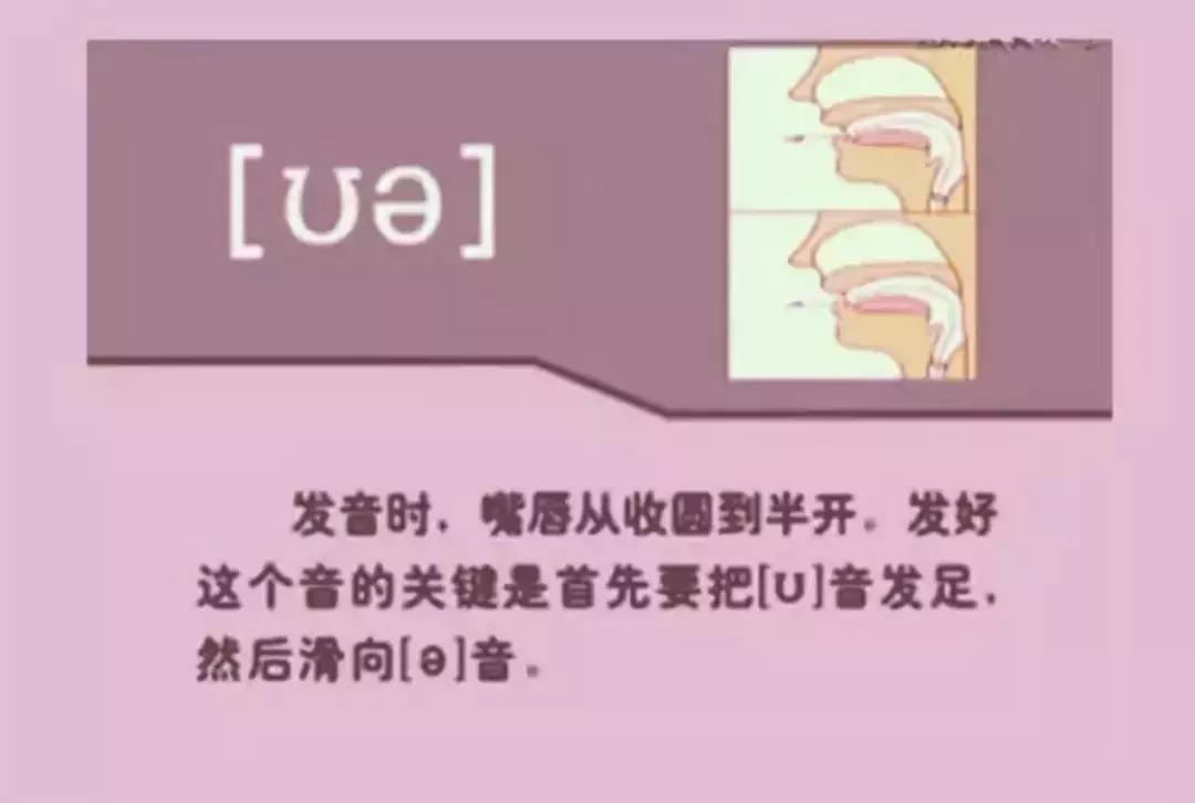 音标发音48个正确发音口型,小学英语音标发音48个口型