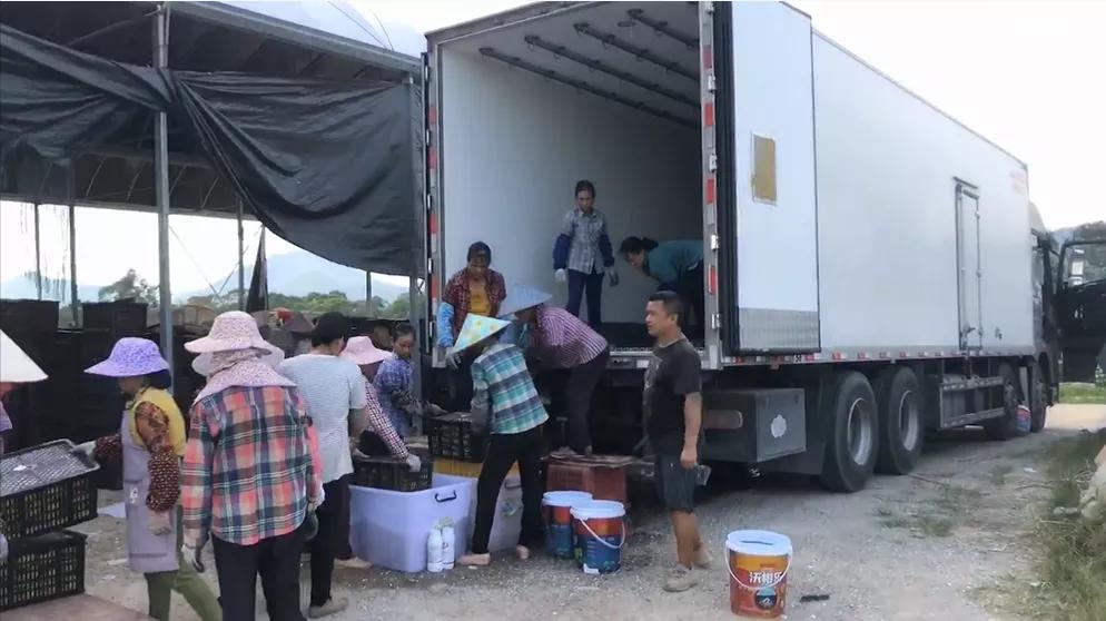 创业卖水果月入1万的方法,开一家水果店一年赚50万