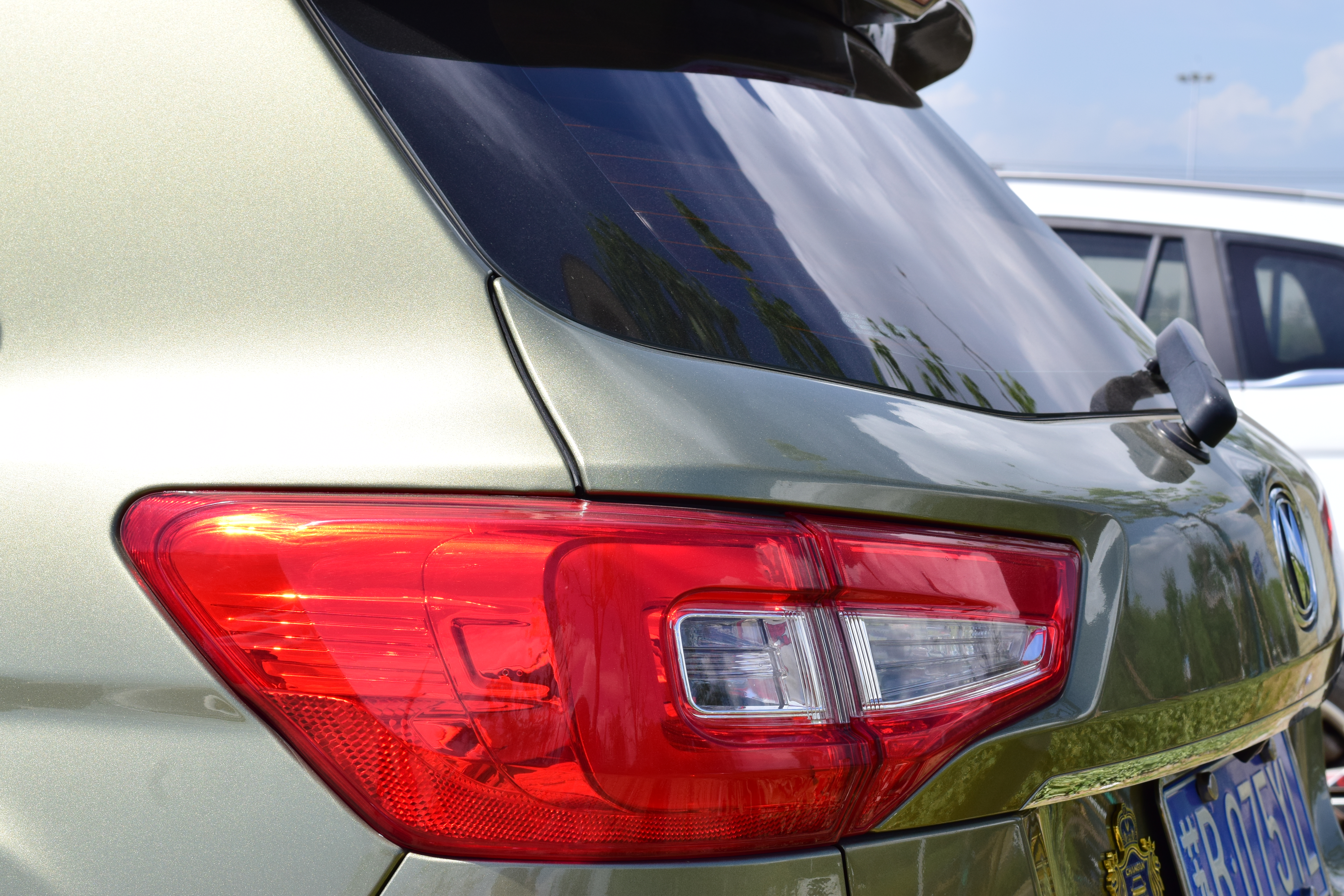 秋高气爽公园散步随拍,深秋天津的郊野公园