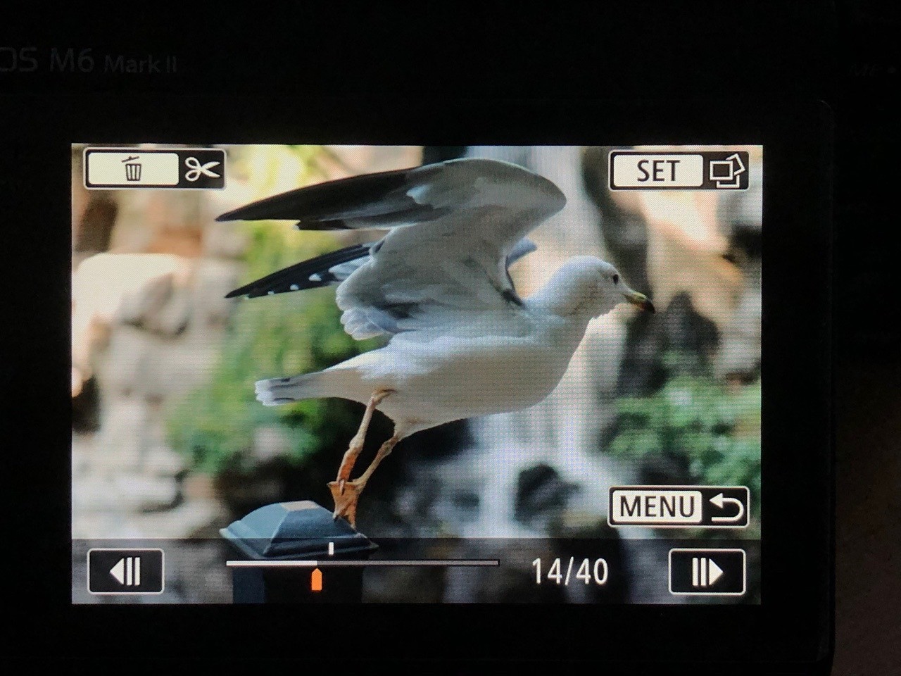 佳能apsc画幅eosr7已经开始测试了,eosm6markii教程
