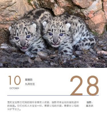 2021年日历上市了，有颜值有功能，你pick哪一款？