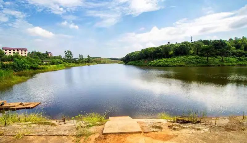 湖南山谷民宿推荐,竹林民宿推荐