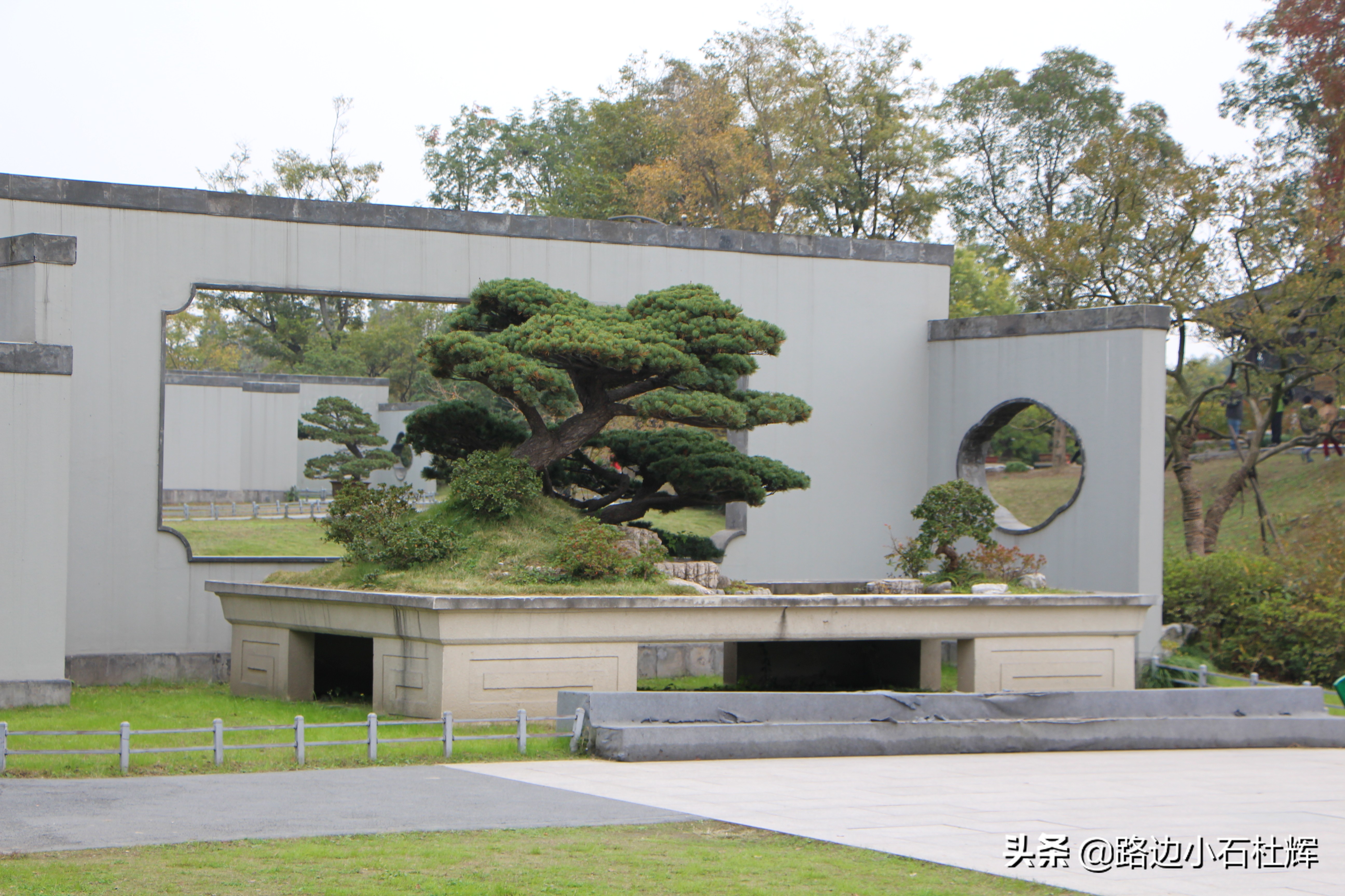 扬州瘦西湖之行,扬州瘦西湖游一圈