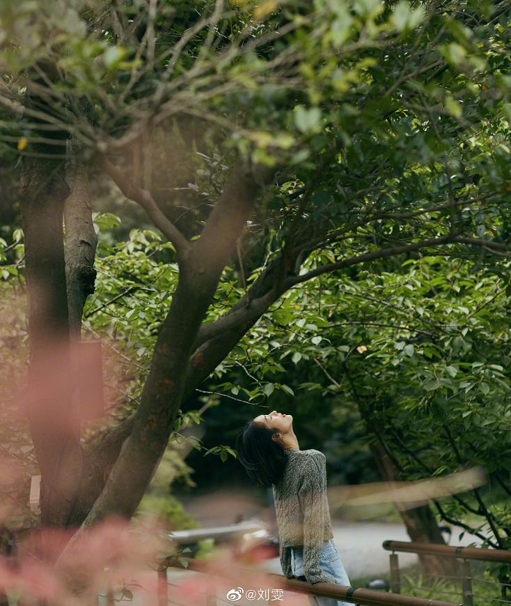 刘雯黑西装走红毯照片,刘雯露腰装量腿