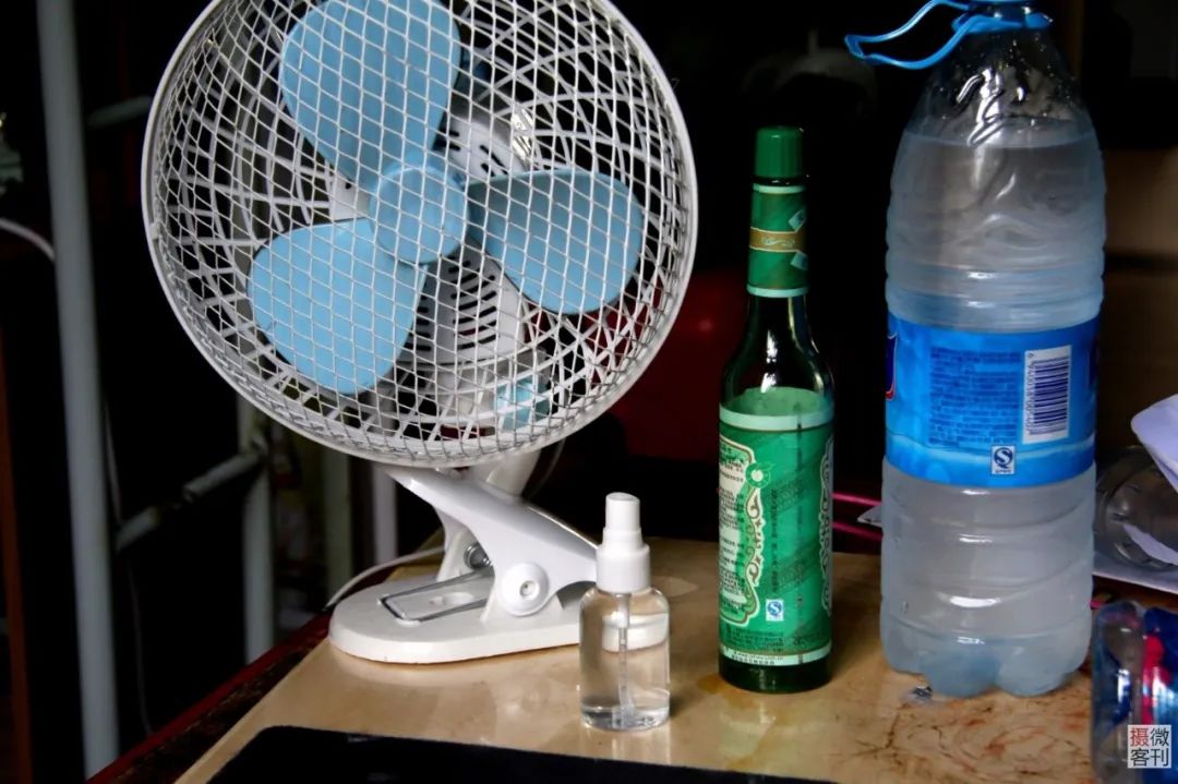 为什么不反感石楠花的味道,石楠花为什么是生命的味道