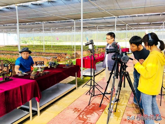 绀句氦鐢靛晢骞冲彴鍒涗笟鏈轰細,绀句氦鐢靛晢鍔╁姏涔℃潙鎸叴