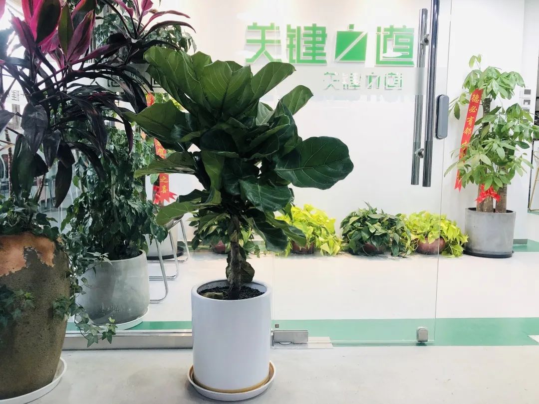 关键之道体育怎么样,关键之道体育