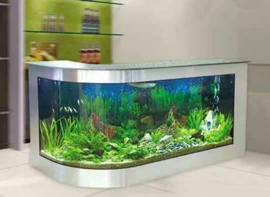 鱼缸换水后出现很多小白虫,怎么去除?