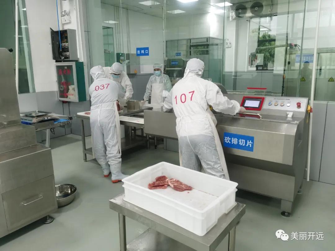 开远金凤凰,开远凤凰腾飞