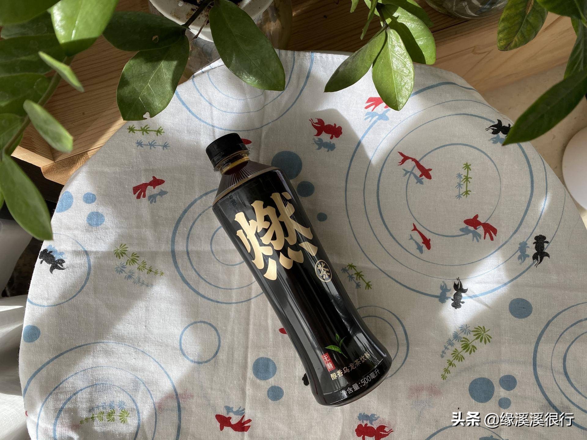 减肥期间可以喝元气森林气泡水,元气森林乳茶减脂吗