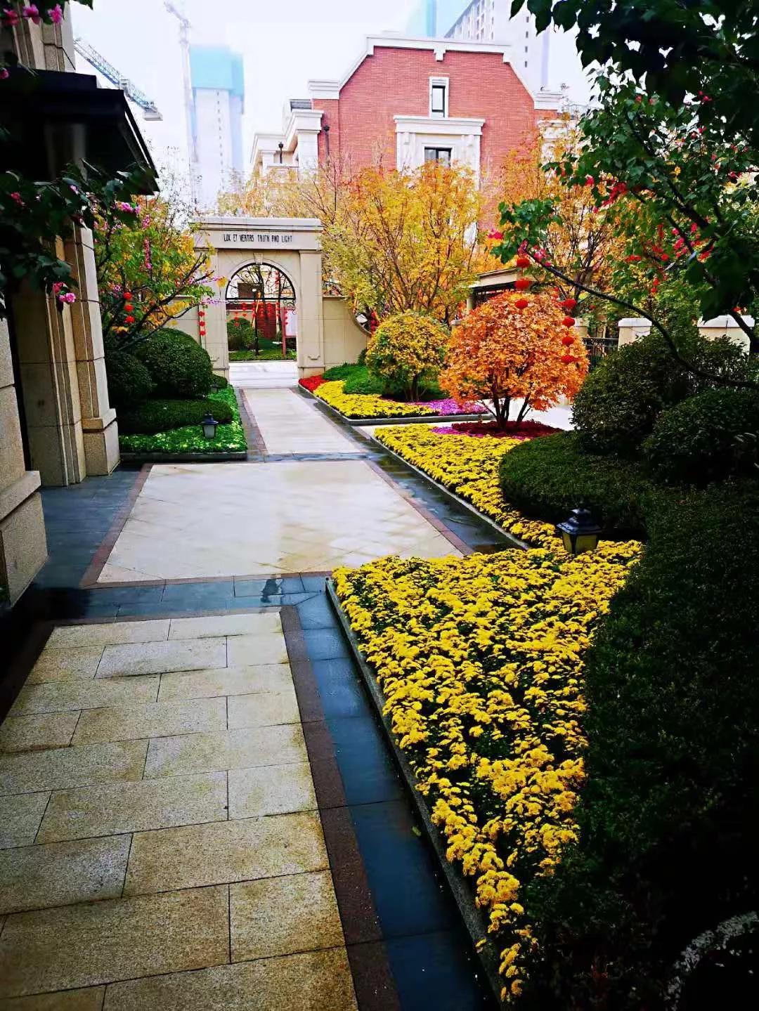 【钱紧买错楼盘?真的不如不买】