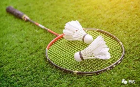 陪拍选什么风格,陪拍怎么选设备