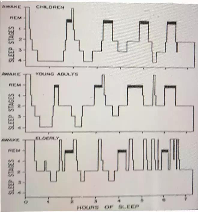 画下的梦,画做过的梦