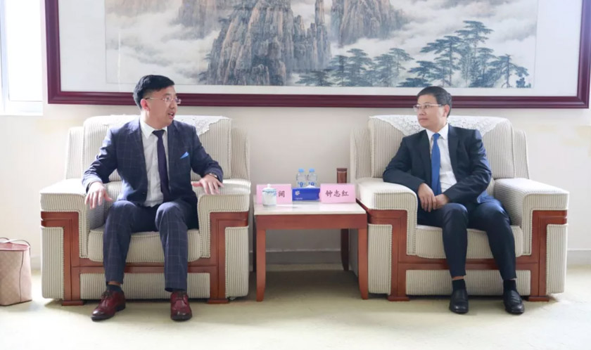 打造粤港澳大湾区教育和人才高地,粤港澳大湾区打造教育与人才高地