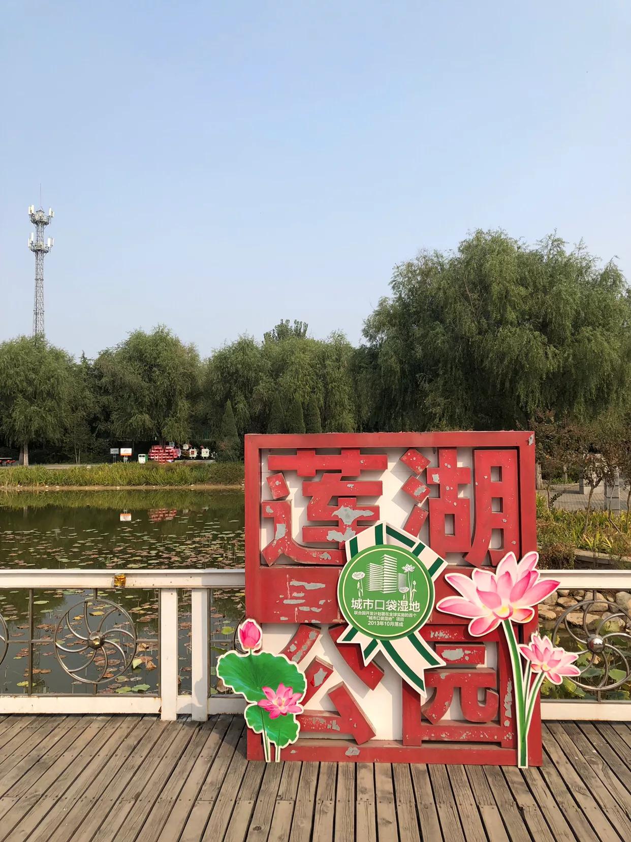 郑州市莲花公园,郑州池南路莲花公园