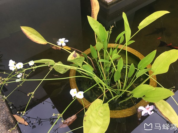 绿中海娱乐会所,绿中海旅游