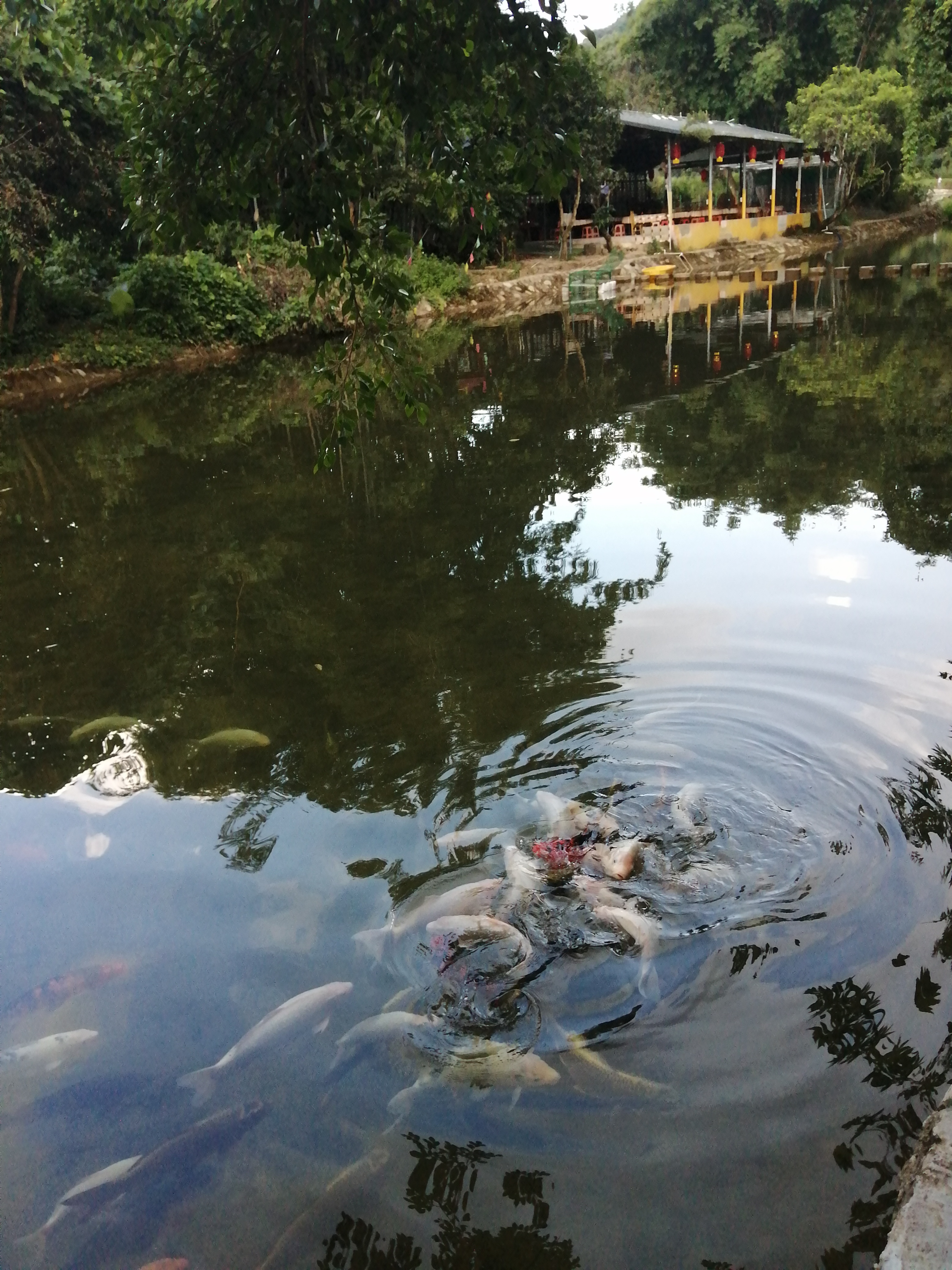 周边旅游景点推荐自驾游罗浮山,罗浮山风景区一日游攻略