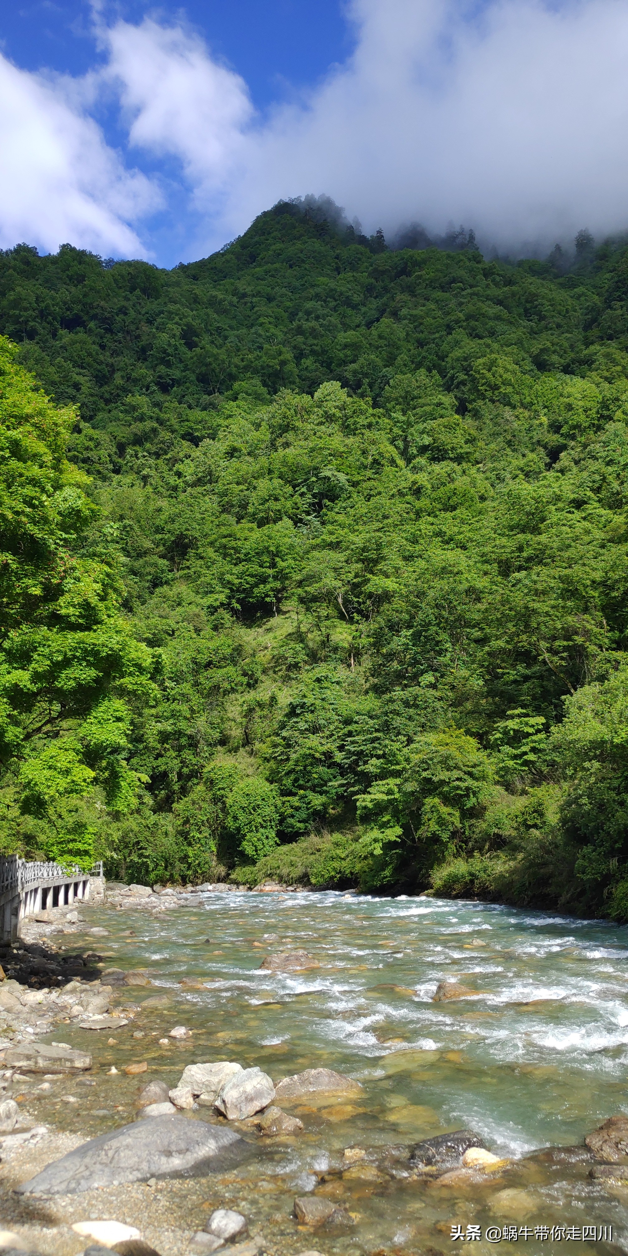 带小朋友出去看小动物,带小孩去海洋动物园