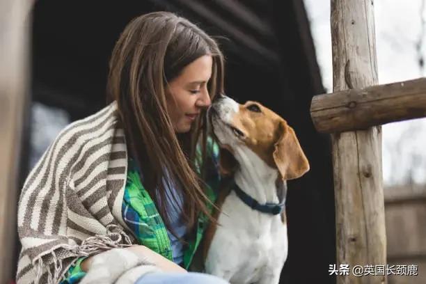 羊驼专治什么病,羊驼治愈厌食症