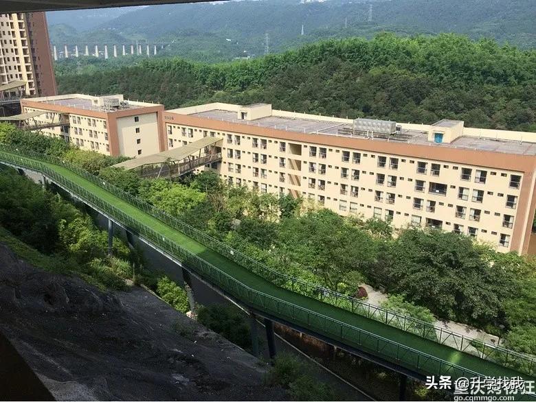 重庆这所中学堪称“低进高出”的典范,升本率高达38%