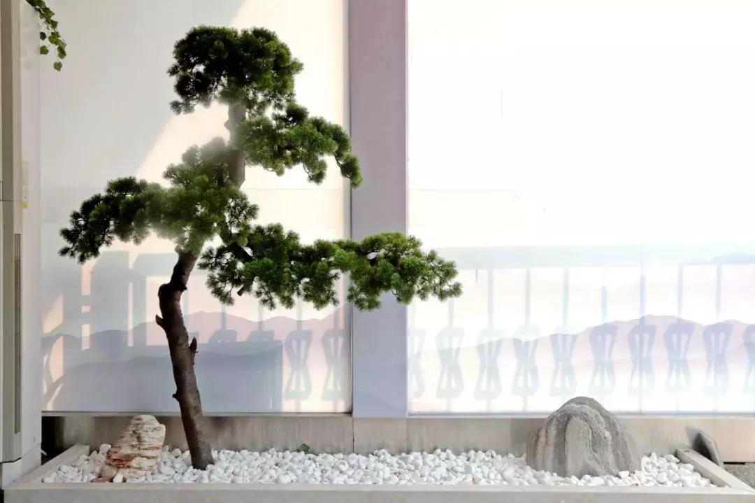 天津口碑好的中医推拿培训机构,天津拔罐