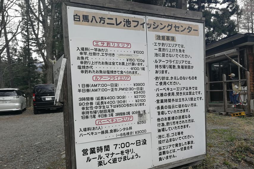 外国游客在日本钓鱼是一个什么样的体验?