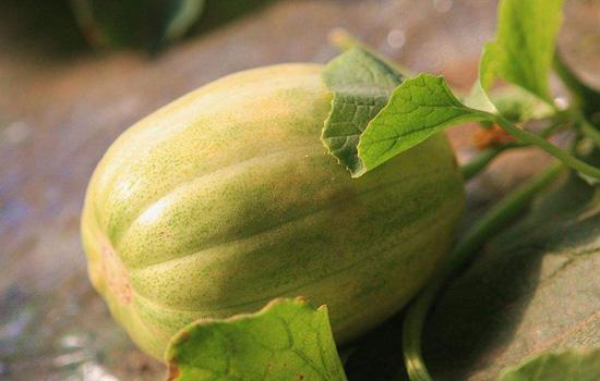 五月份吃什么水果是应季水果,这个季节一定要吃的正当季水果