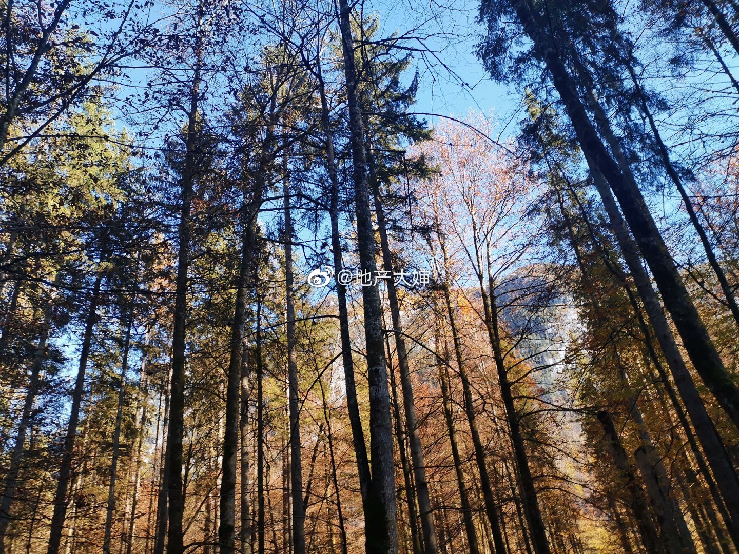 德国旅游攻略天气预报,德国旅游攻略五日游推荐