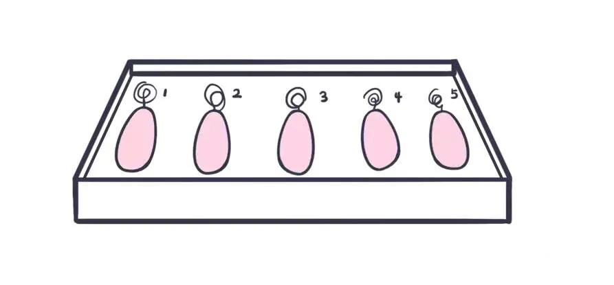 产后为什么哑铃总是掉出来,产后哑铃是要完全放进去么