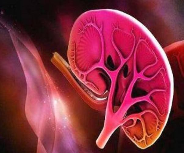 急性肾炎并发急性肾衰竭,急性肾衰竭和急性肾炎的区别