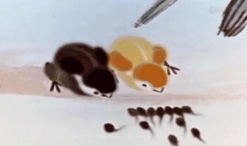 暴露年龄的时候到了动画片,00后看过这几部动画片都老了