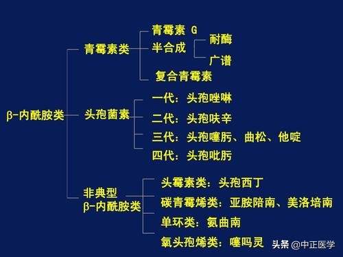 阿莫西林是抗生素类药品吗,阿莫西林消炎药用法