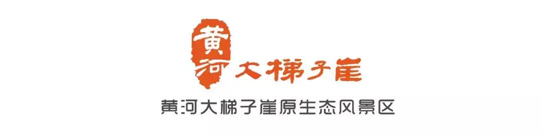 黄河桃花朵朵开,黄河大梯子崖上的风景