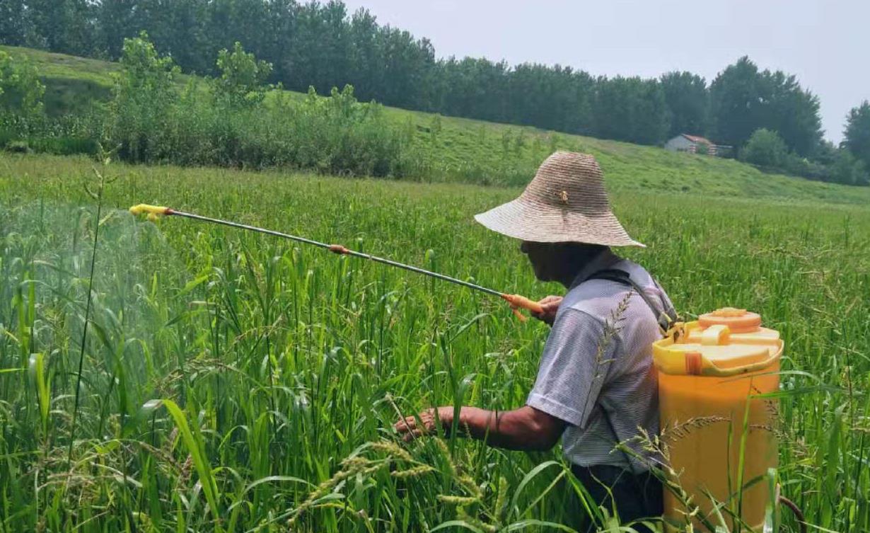 农民打农药对身体影响,农民打除草剂后果