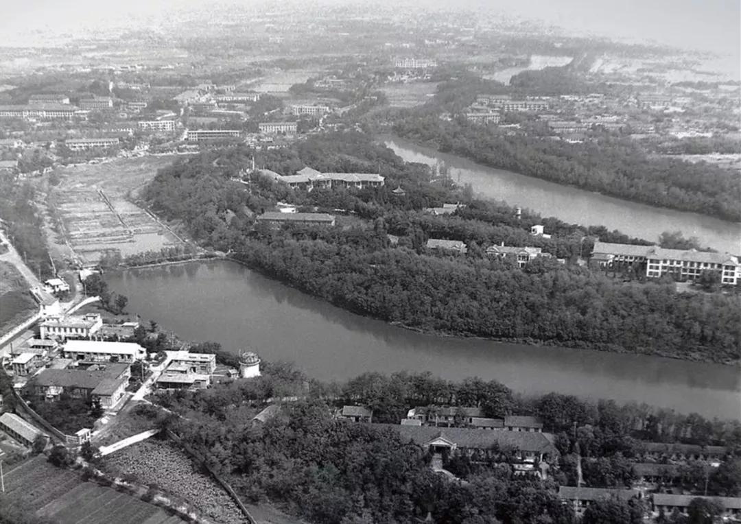 合肥十大知名企业,合肥名企排名