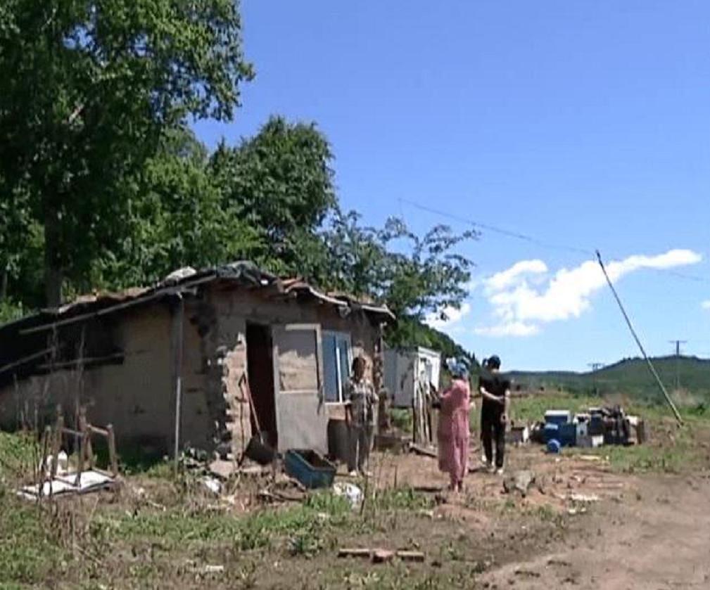 黑龙江省女子与蛇相处15年,黑龙江一女子与蛇共处十几年