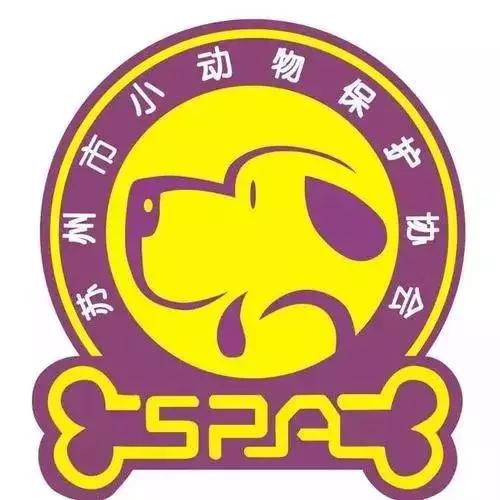 炸裂!因为一只猫,苏州人开启尖叫模式!