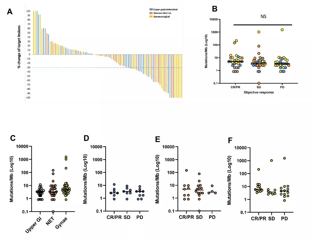 肿瘤突变负荷(TMB)能预测联合免疫治疗的疗效吗?|脑海Yeah