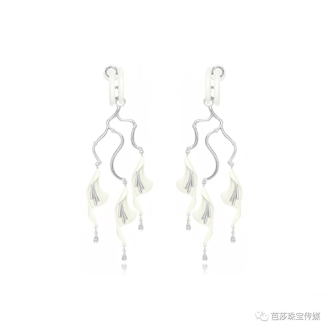 乘风破浪的姐姐新一期结果,乘风破浪的姐姐还差谁