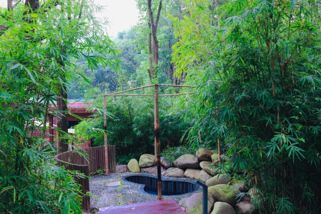 露天温泉小院精品,一房一厅庭院私家温泉