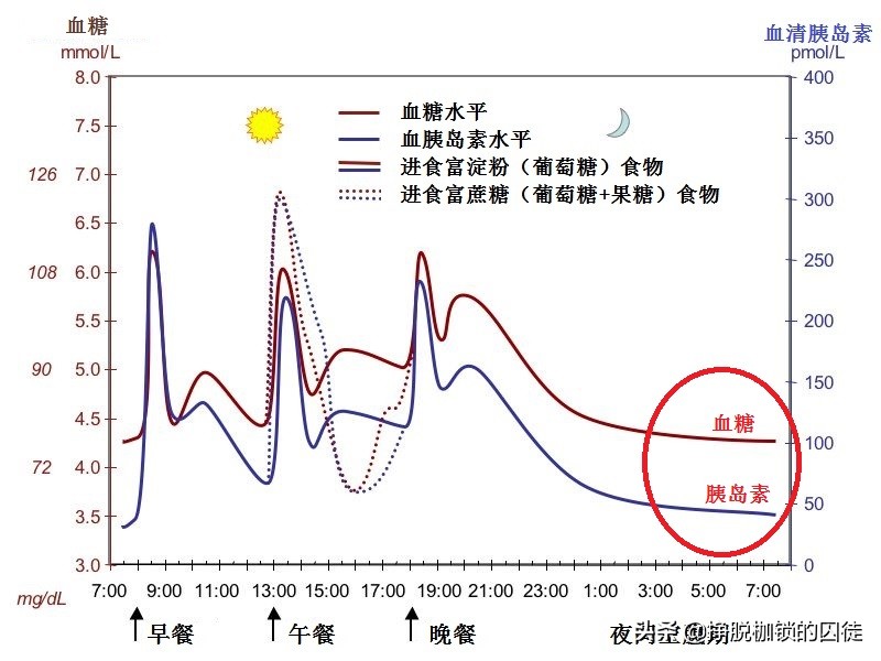 大量喝蜂蜜会不会导致糖尿病,大量喝蜂蜜的危害