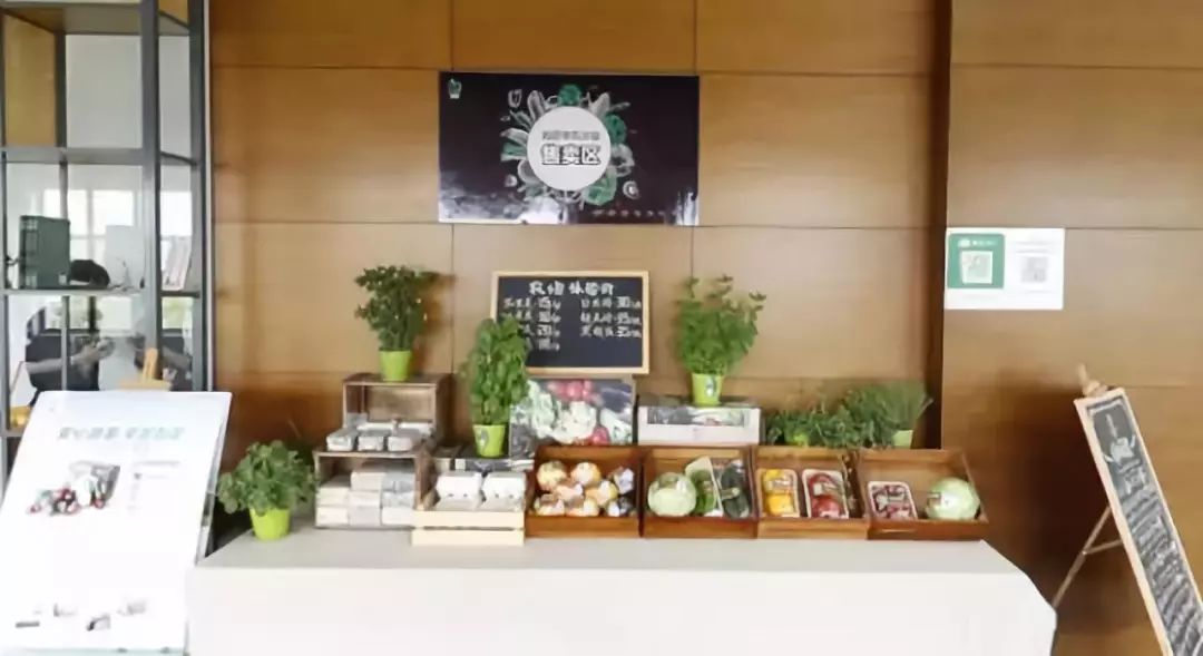 有机农业未来发展思路,有机农业的发展目标和成效