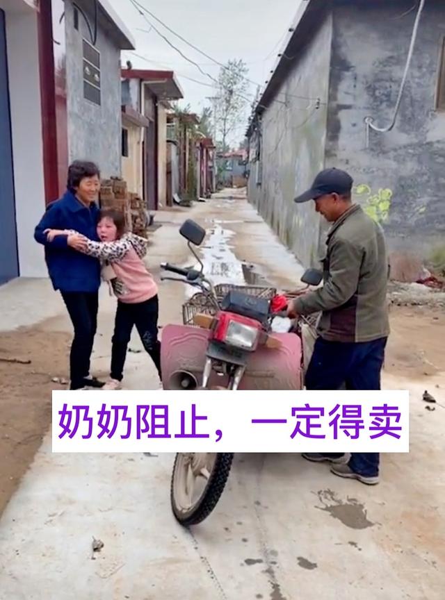 河南奶奶10元卖孙女养2年的狗,河南一奶奶10块卖狗奶奶后续