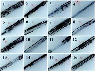 网红化妆品爆款测评,网红博主化妆pk