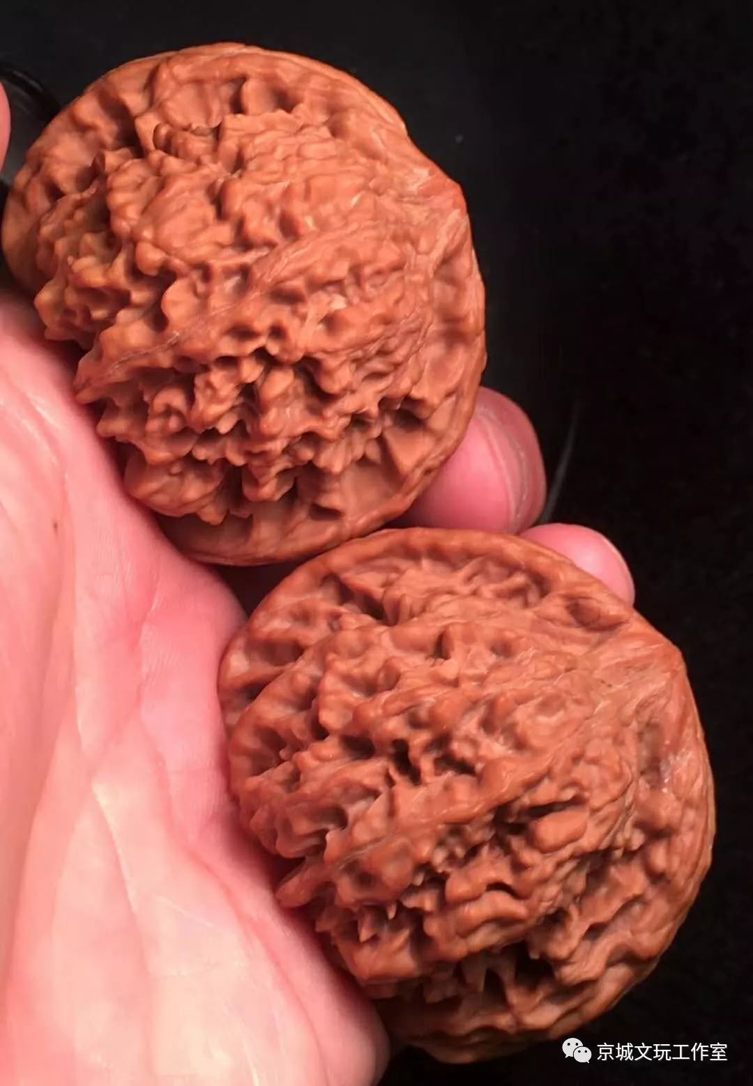 文玩核桃都是哪个地方的,你知道核桃原本是什么样的吗