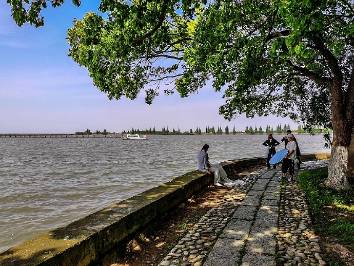 淀山湖柳堤春晓,淀山湖适合露营玩水的地方