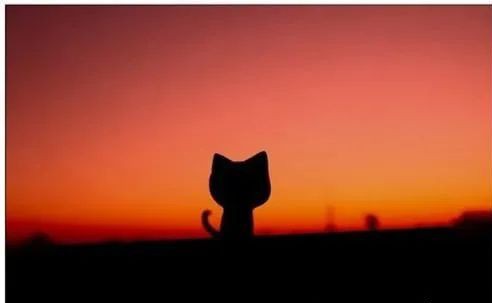 当别人问我好不好时,别人问我过得好不好幽默回答