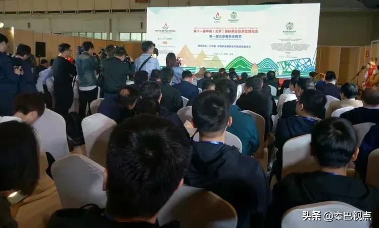 秦汉古茶价格,秦汉古茶图片